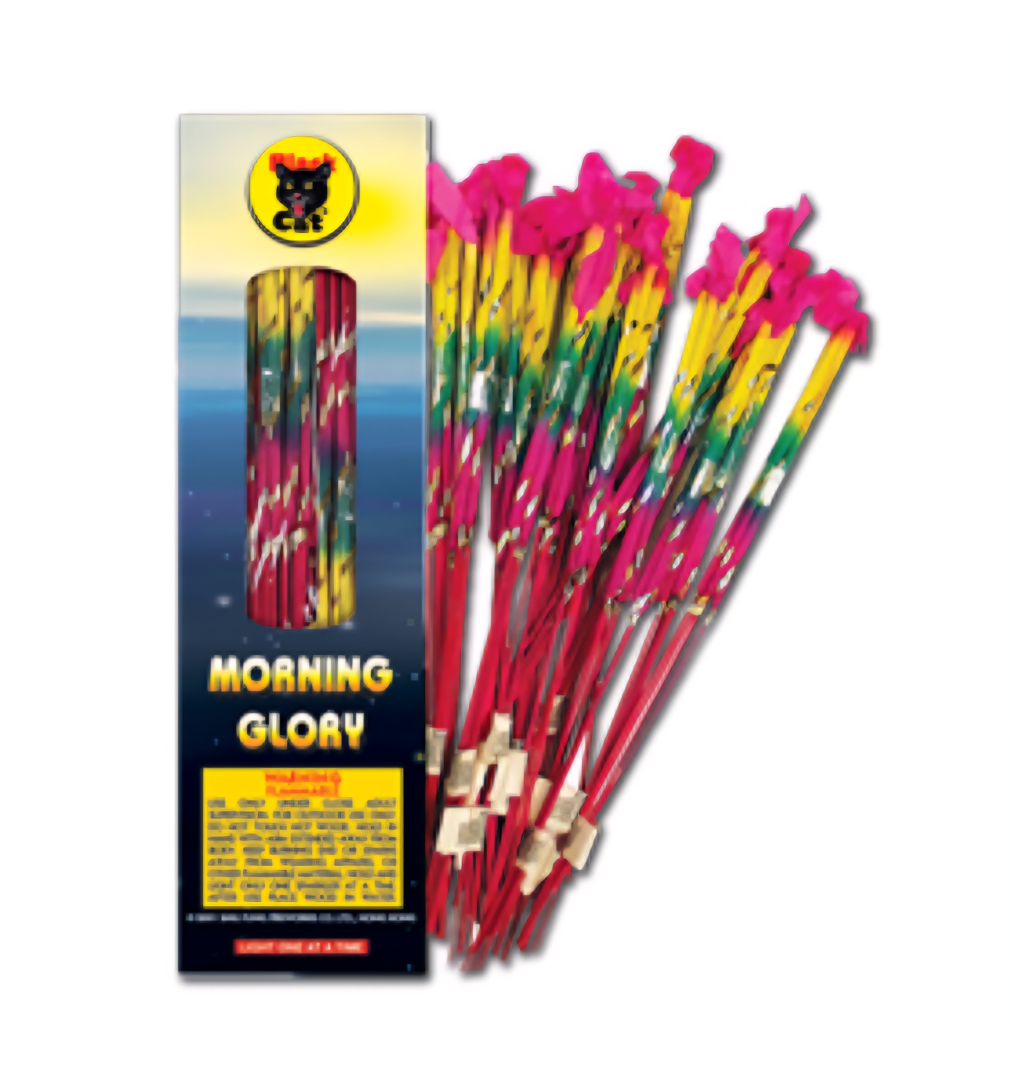 Ground Bloom Flowers