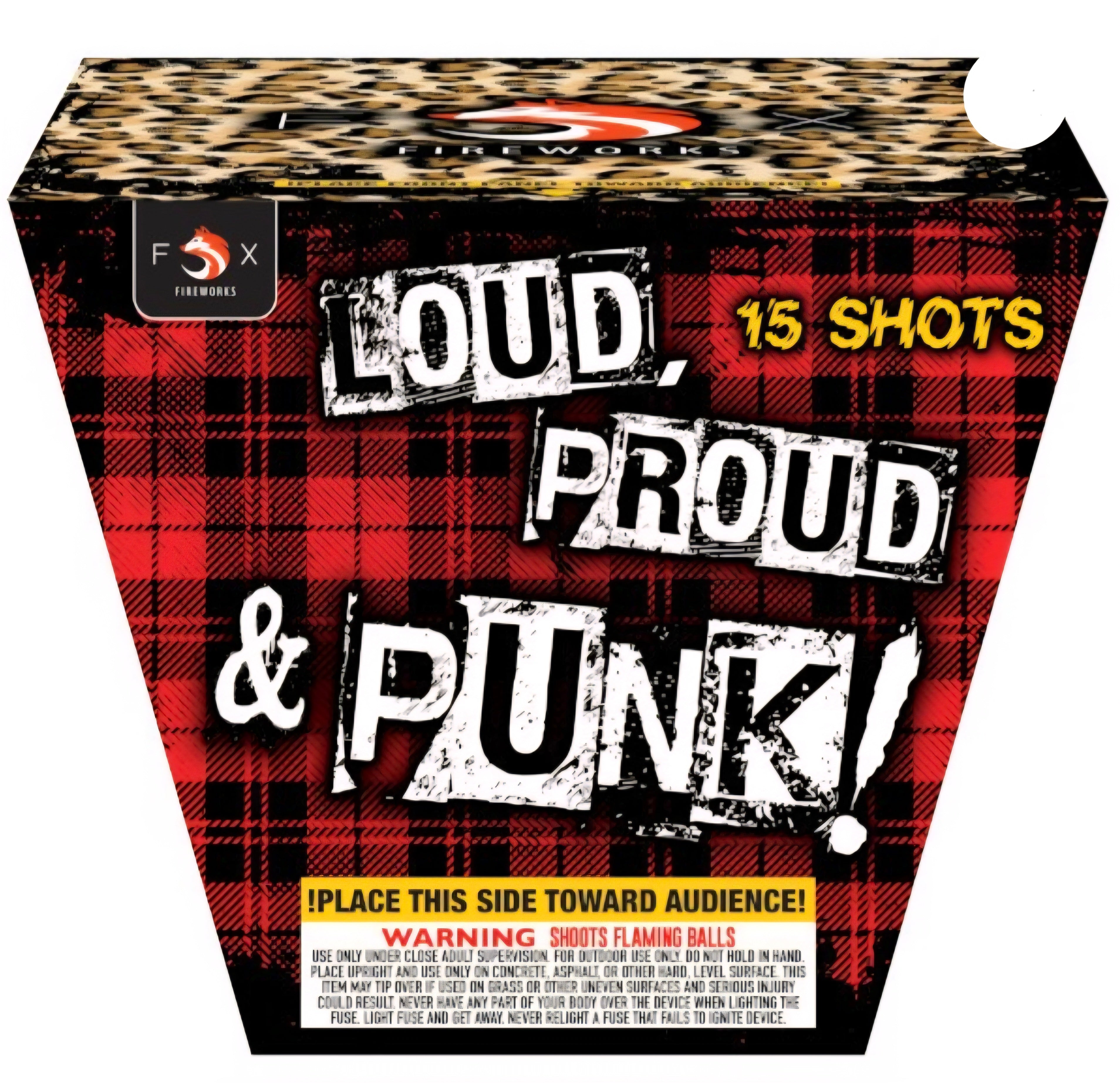 Loud, Proud, and Punk!